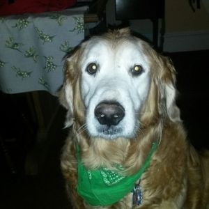 Meet your Posher, Tamara